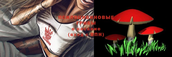 индика Красноперекопск