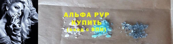 индика Красноперекопск