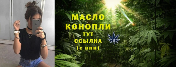 индика Красноперекопск