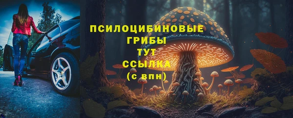 ALPHA PVP Краснотурьинск