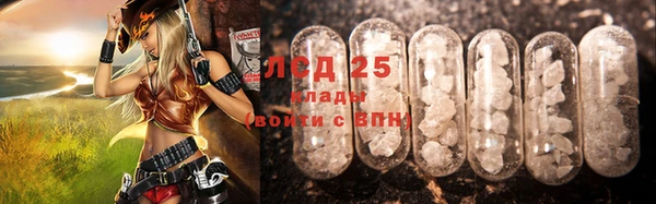 индика Красноперекопск