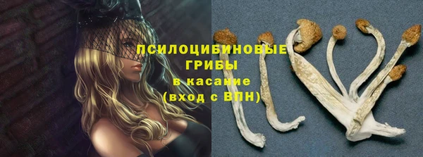индика Красноперекопск