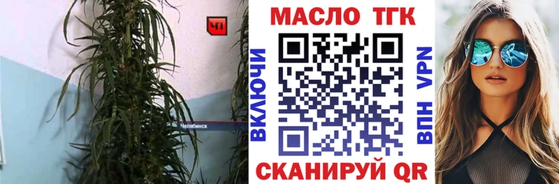 Купить где  Североуральск  ТГК концентрат 