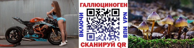 Купить где Североуральск Галлюциногенные грибы мицелий